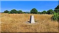 TQ1684 : Horsenden Hill trig point by Mark Percy