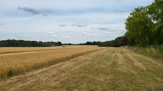 Farmland north of Westfield Road