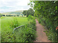 Path by Biggar Burn