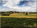 Grassland south-east of Hermonceux Place