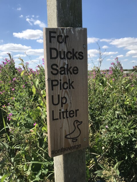 Dont Fall Fowl Of The Wildlife © Michael Westley Geograph Britain