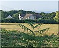 Towards a field and houses, Earlswood, Monmouthshire