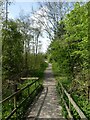 Path from the bird hide south of Sheepwash car park, Carsington Water