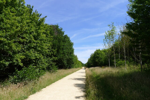 Cycle path through Londonthorpe Wood
