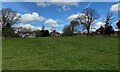 Houses along Vicarage Road, Stoneleigh