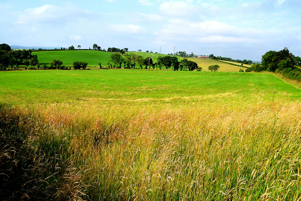 grass-field-with-area-left-for-wildlife-kenneth-allen-geograph