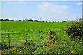 Cavan Townland