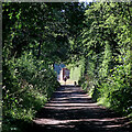 Bridleway in Wrottesley Park, Staffordshire