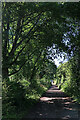 SJ8401 : Bridleway near The Bradshaws in Wrottesley Park by Roger  D Kidd