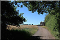 Bridleway at The Bradshaws in Wrottesley Park