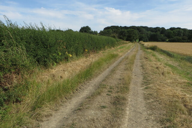 Yelvertoft Fieldside Covert Daventry Area Information Map Walks And More 