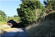 SU5879 : Lane in Stichens Green by David Howard