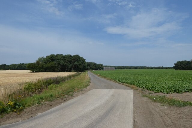 Track off Wheldrake Lane © DS Pugh :: Geograph Britain and Ireland