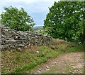 Bouthwaite, Covill House Moor track