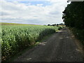 Farm tarck and footpath to Epperstone