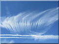 Cirrus Clouds