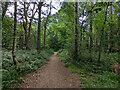 Public footpath 16W, Copthorne Upper Common