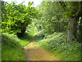 Public bridleway south east of Lidlington (2)