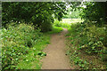 Community Forest Path near Hazel Brook