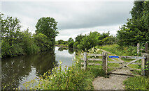 SD9151 : Leeds & Liverpool Canal near to Trenet Laithe by Trevor Littlewood