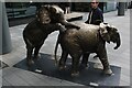 View of Emoli and Tagwa the Elephants in Spital Square