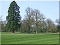 Wrottesley Golf Course near Oaken, Staffordshire