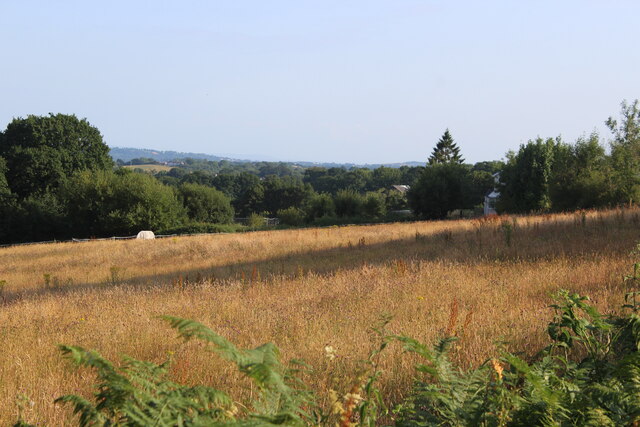 Field near Uplands Farm, Sebastopol