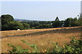 Field near Uplands Farm, Sebastopol