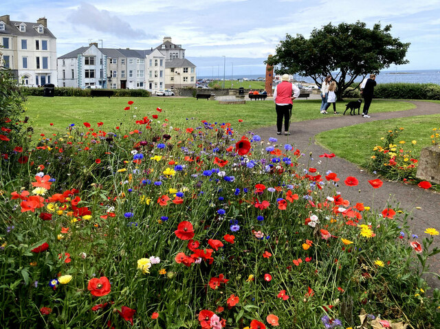 A colourful display at Antrim Gardens, Portrush