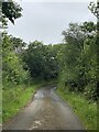 Country lane approaching Disgwylfa