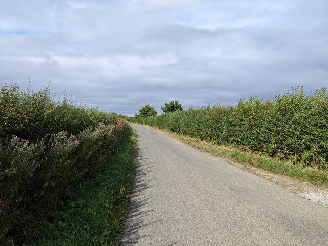 Lane near Newcombe Farm, heading south from Keinton Mandeville