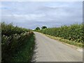 ST5429 : Lane near Newcombe Farm, heading south from Keinton Mandeville by Rob Purvis