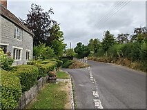 ST4228 : House and lane in Wearne by Rob Purvis