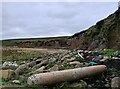 ND3895 : Driftwood, Red Face, Flotta, Orkney by Claire Pegrum