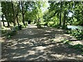 Lakeside path, Eldene, Swindon