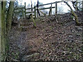 Stone Stile, Stinchcombe