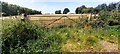 View west into arable field from road between A69 near Aglionby and Wetheral