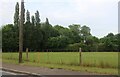 Field by Mill Road, Baythorne End