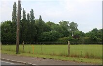 TL7242 : Field by Mill Road, Baythorne End by David Howard