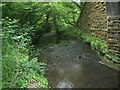 The River Kenfig/Afon Cynffig at the western edge of Pyle