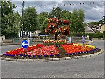 H4572 : Colourful floral display, Omagh by Kenneth  Allen
