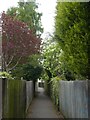 Footpath to Exmoor Close, Loughborough