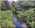 River Stour in Aggborough, Kidderminster