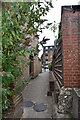 Alleys-oop Petersfield: Alley from Swan St. car park to Swan St.