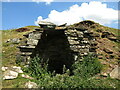 Lime kiln north of New House - arch