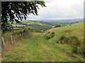 Llwybr i Faesdy / Path to Maesdy