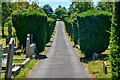 South Molton : Cemetery