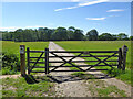 Gated track west of Rowfant Business Centre