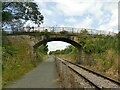NU2012 : Farm bridge over the Aln Valley Railway by Stephen Craven
