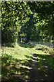 Footpath, Hildenborough